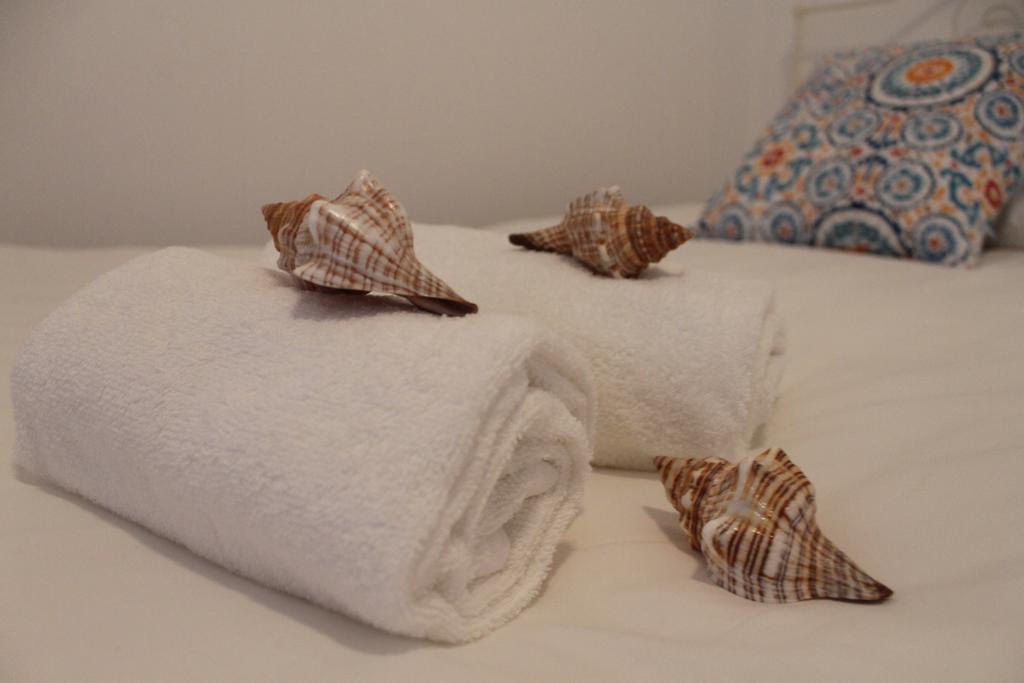 Consolacao Surf & Beach Apartment Zewnętrze zdjęcie